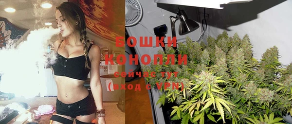 метадон Новодвинск