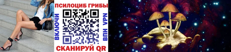Псилоцибиновые грибы MAGIC MUSHROOMS  Купить  Тула 